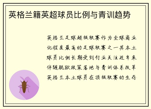 英格兰籍英超球员比例与青训趋势